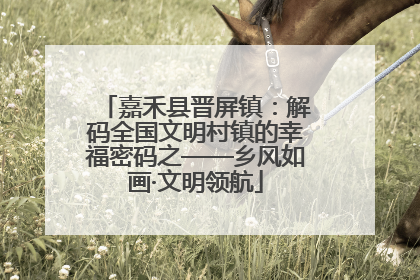 嘉禾县晋屏镇：解码全国文明村镇的幸福密码之——乡风如画·文明领航
